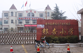 河南安阳银杏小学——银杏文化